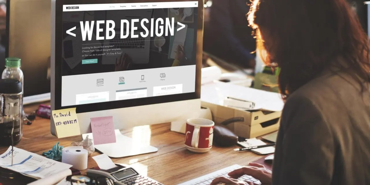 Business Needs a Professional Website 
