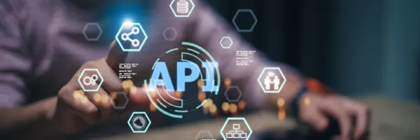 App Integration & API Development